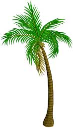 Finished palm tree from The Rumor